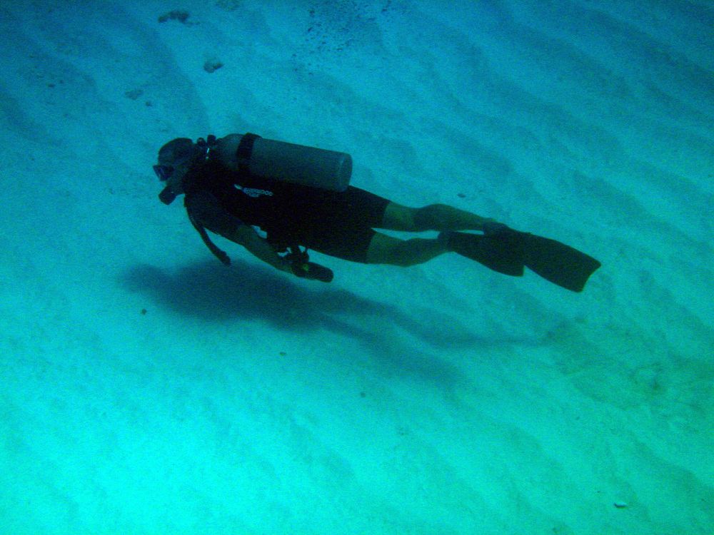 Andy diving