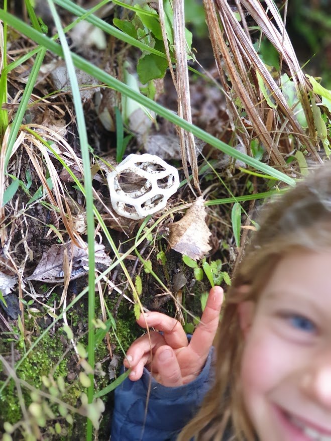 Child pointing at a white basket fungus growing among leaf litter